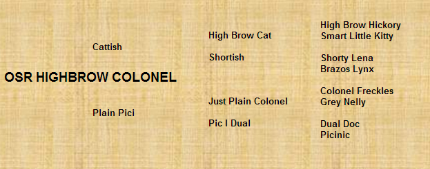 OSR Highbrow Colonel Pedigree