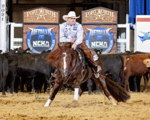 Metallic Jake in Fort Worth